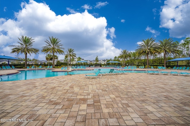 view of pool with a patio area