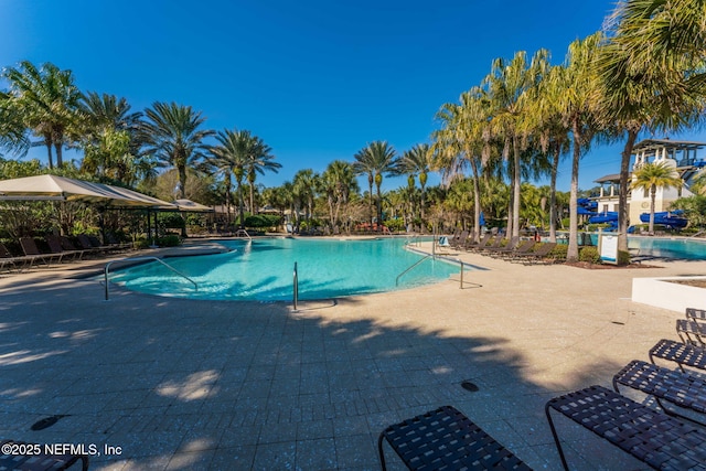 view of pool featuring a patio