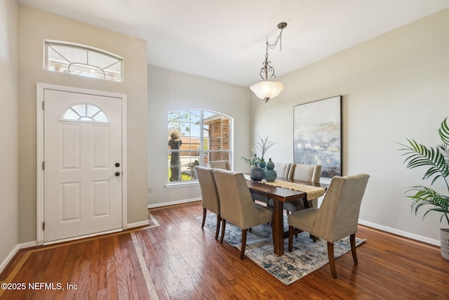 dining room with dark hardwood / wood-style floors