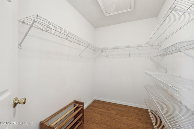 walk in closet featuring dark wood-type flooring