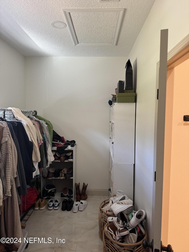 view of walk in closet