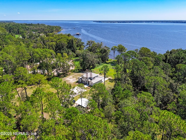 770 River Mist Bnd, Palatka, FL 32177 - photo 4