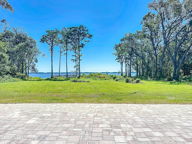 770 River Mist Bnd, Palatka, FL 32177 - photo 78