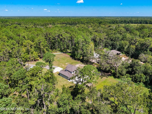 770 River Mist Bnd, Palatka, FL 32177 - photo 87
