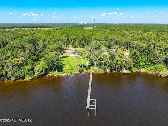 770 River Mist Bnd, Palatka, FL 32177 - photo 90