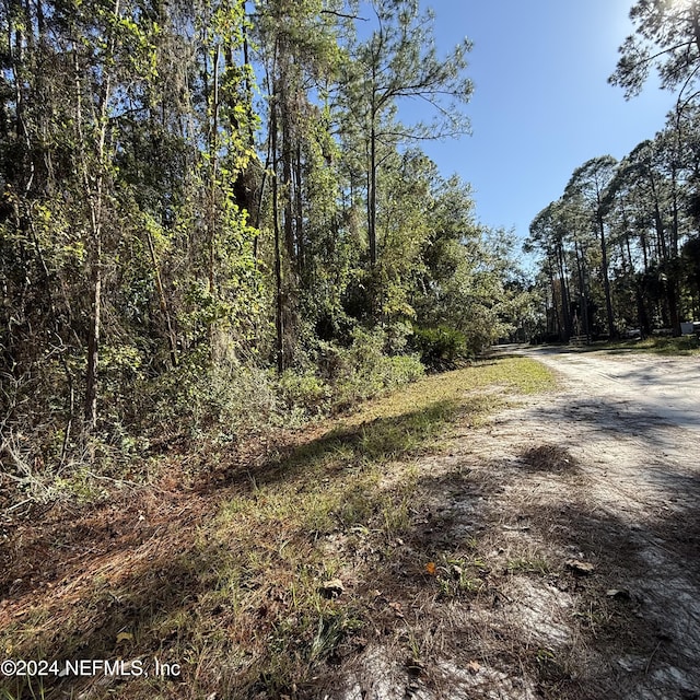 130 Mosswood St, Georgetown FL, 32139 land for sale