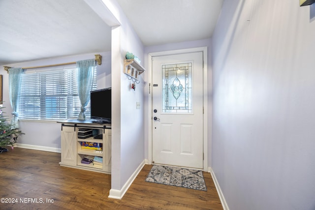 entrance foyer with dark hardwood / wood-style flooring