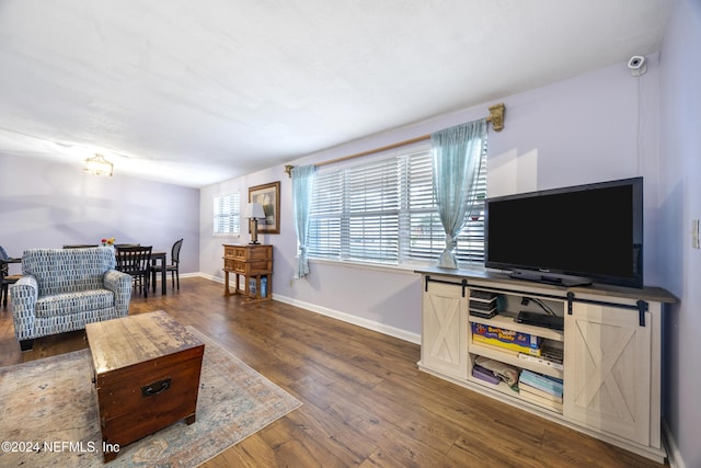 living room with dark hardwood / wood-style floors and a barn door