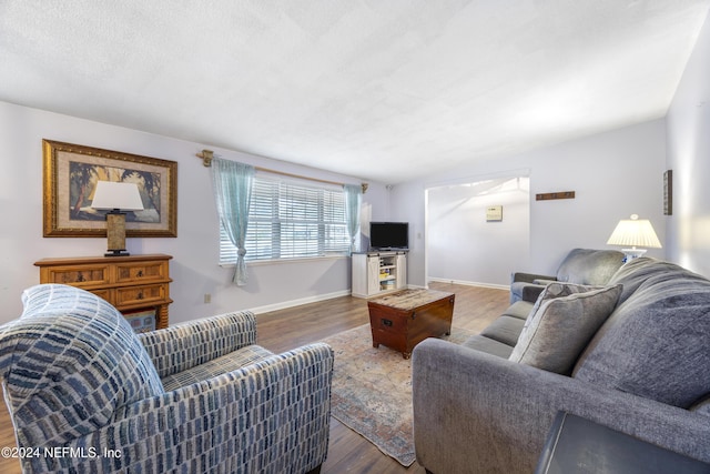 living room featuring a textured ceiling and hardwood / wood-style flooring