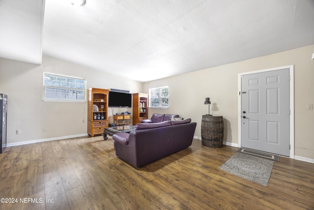 living room with dark hardwood / wood-style flooring