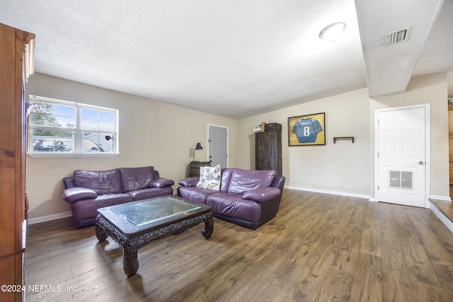 living room featuring wood-type flooring