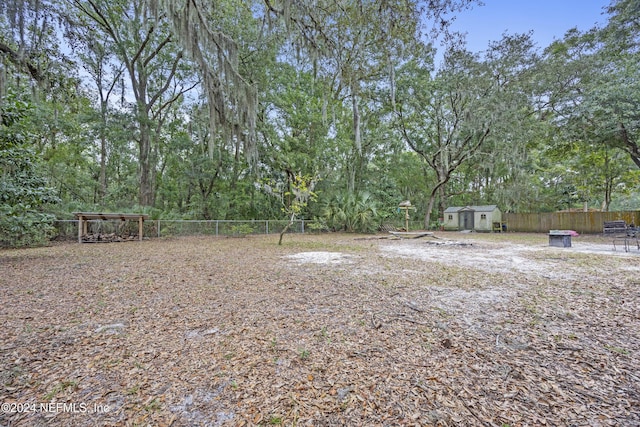 view of yard featuring a shed