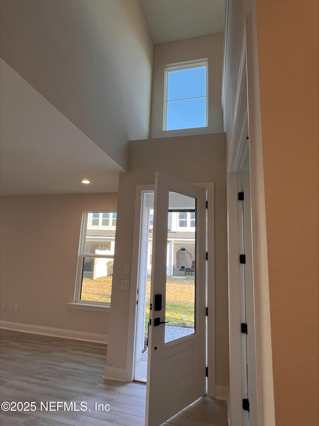 foyer with light hardwood / wood-style flooring, a high ceiling, and a healthy amount of sunlight