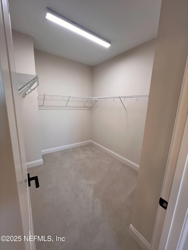 walk in closet with light colored carpet