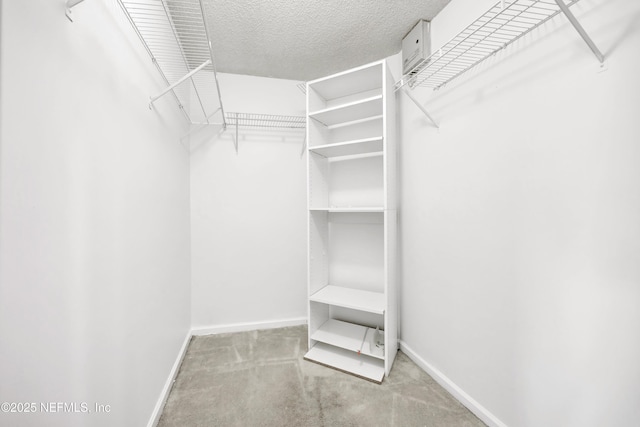 spacious closet featuring carpet floors