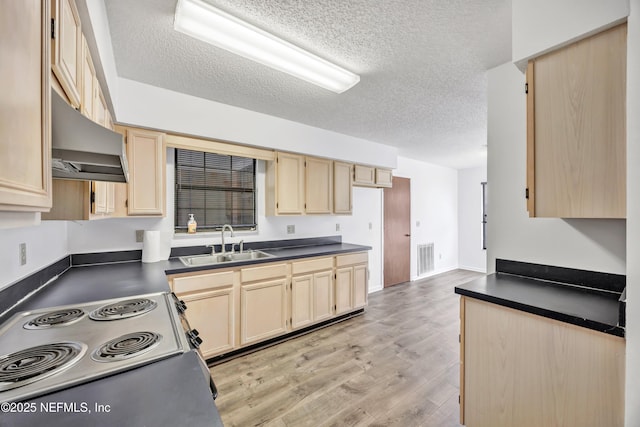 kitchen with wall chimney range hood, light brown cabinetry, sink, and electric range oven