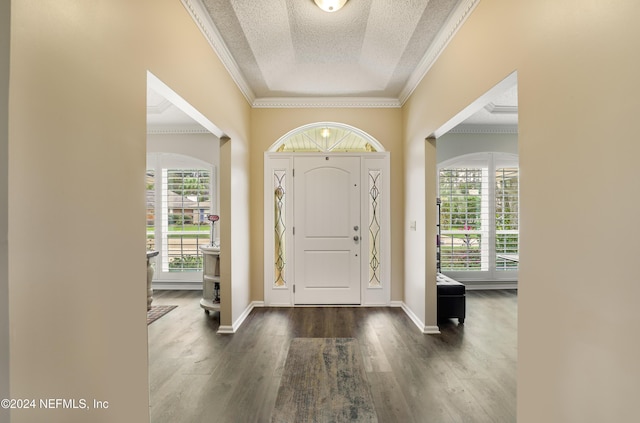 entryway featuring a textured ceiling, dark hardwood / wood-style flooring, and a wealth of natural light