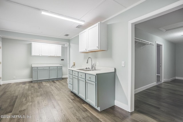 kitchen with white cabinetry, sink, and dark wood-type flooring