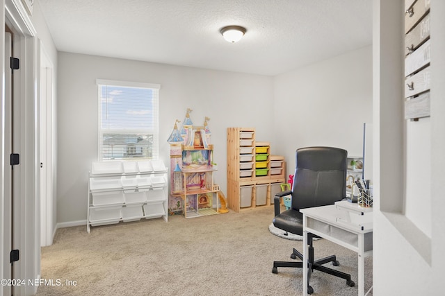 office space featuring light colored carpet and a textured ceiling