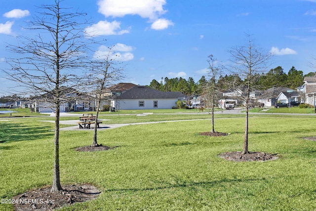 view of community with a yard