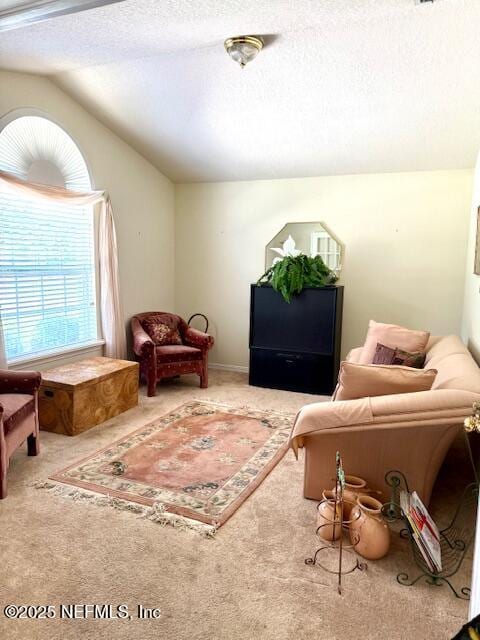 1837 The Glades Rd, Middleburg, FL 32068 - carpeted living room with lofted ceiling and a textured ceiling