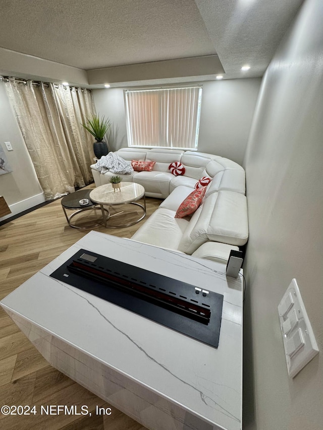 living room with a textured ceiling and hardwood / wood-style flooring