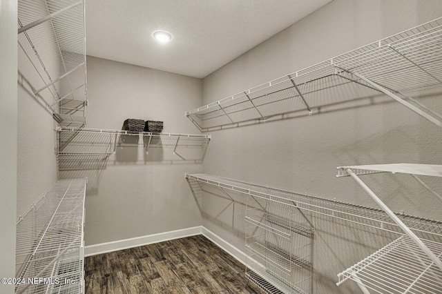 spacious closet featuring dark wood-type flooring