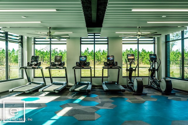 gym featuring a wealth of natural light and ceiling fan