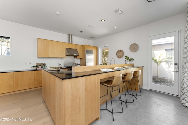 kitchen featuring a wealth of natural light, light brown cabinetry, extractor fan, and light wood-type flooring