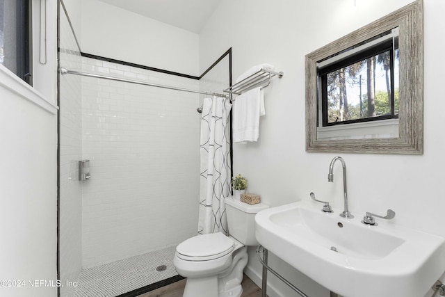 bathroom featuring a shower with curtain, toilet, and sink