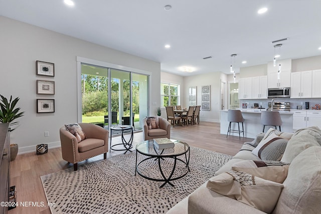 living room featuring light hardwood / wood-style flooring