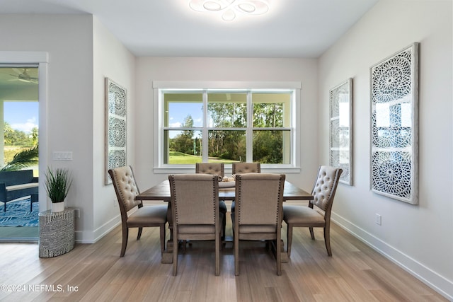 dining space with light hardwood / wood-style flooring