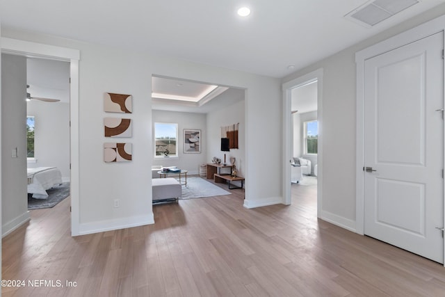 corridor featuring a healthy amount of sunlight and light hardwood / wood-style flooring