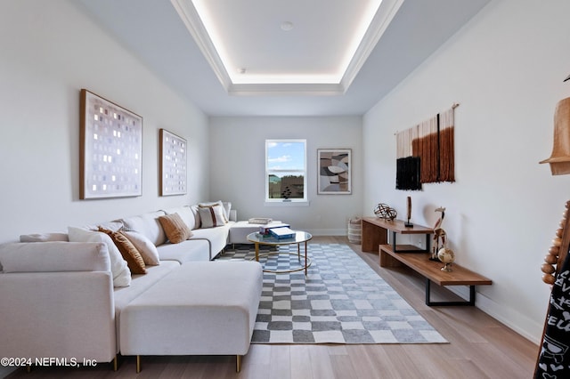 living room featuring hardwood / wood-style flooring and a raised ceiling