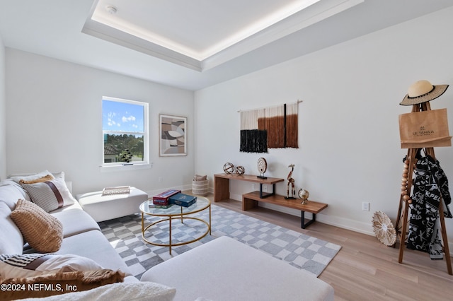 living room featuring light wood-type flooring and a raised ceiling