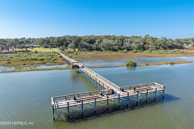 dock area with a water view