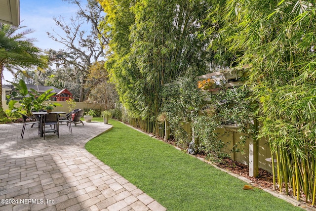 view of yard with a patio area