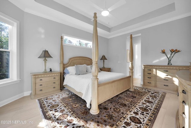 bedroom featuring multiple windows and a raised ceiling