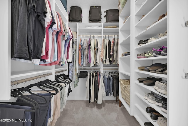 walk in closet with light colored carpet