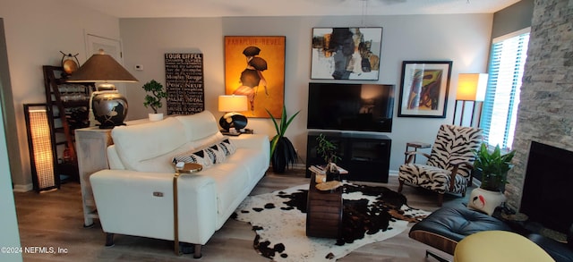 living room featuring wood-type flooring and a fireplace