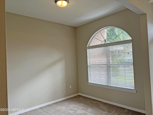 spare room with carpet flooring