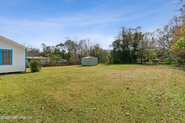 view of yard with a storage unit