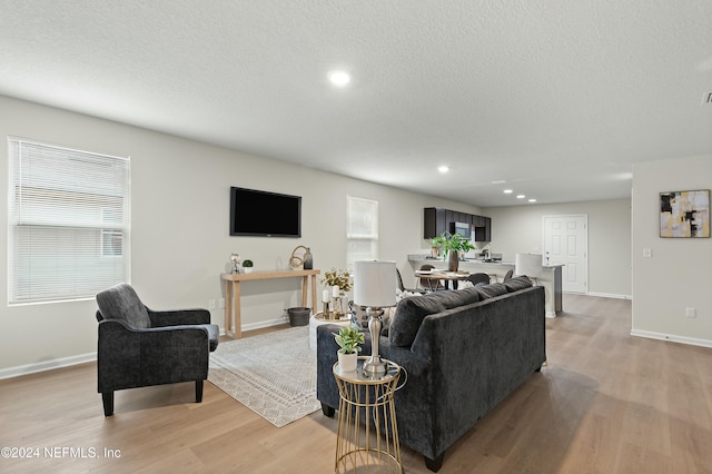 living room featuring light wood-type flooring and a textured ceiling