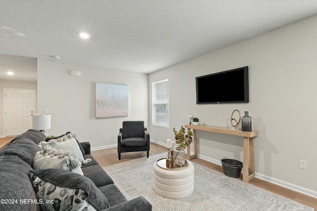 living room featuring a textured ceiling and hardwood / wood-style flooring