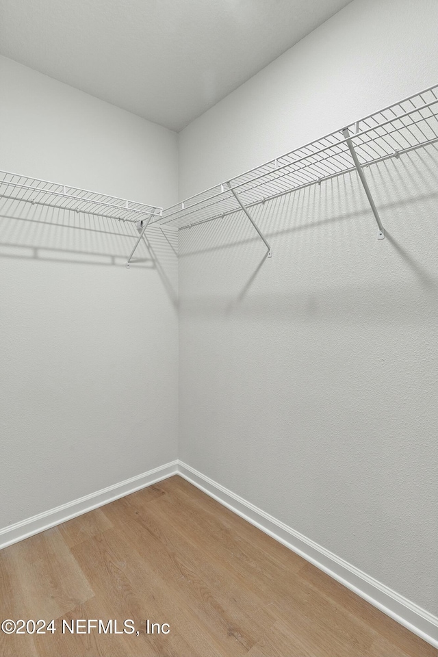 spacious closet with hardwood / wood-style floors