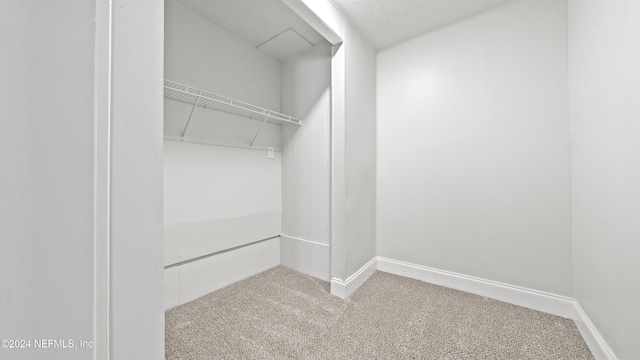 spacious closet with carpet flooring