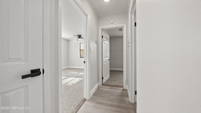 hall with light hardwood / wood-style floors and ornamental molding