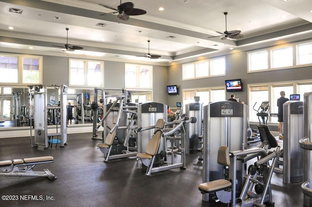 workout area featuring a high ceiling, a raised ceiling, and crown molding