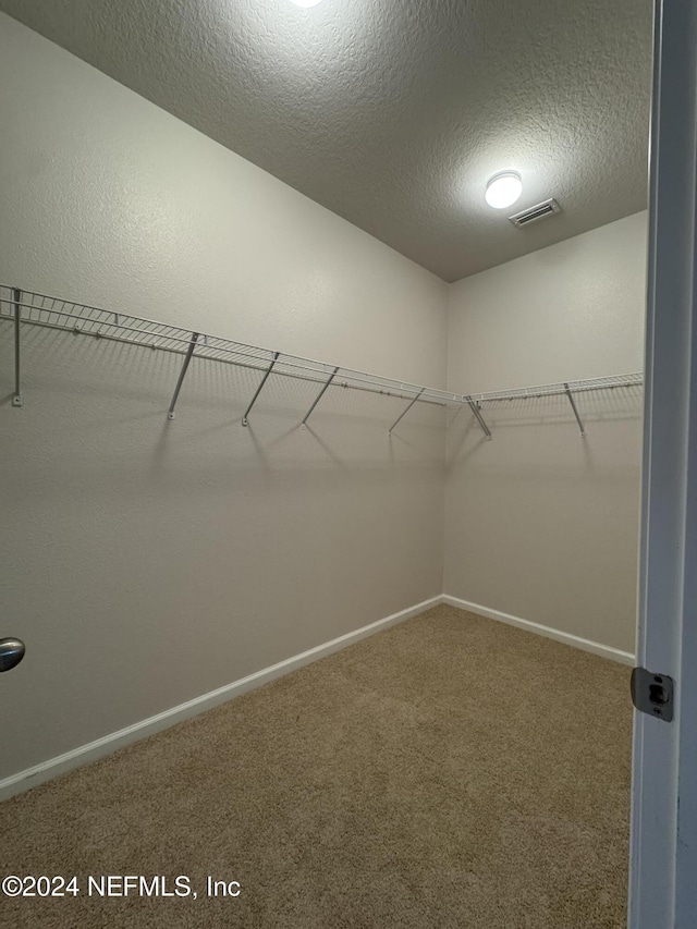 spacious closet with carpet floors