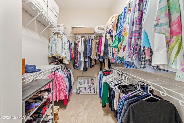 spacious closet featuring light colored carpet